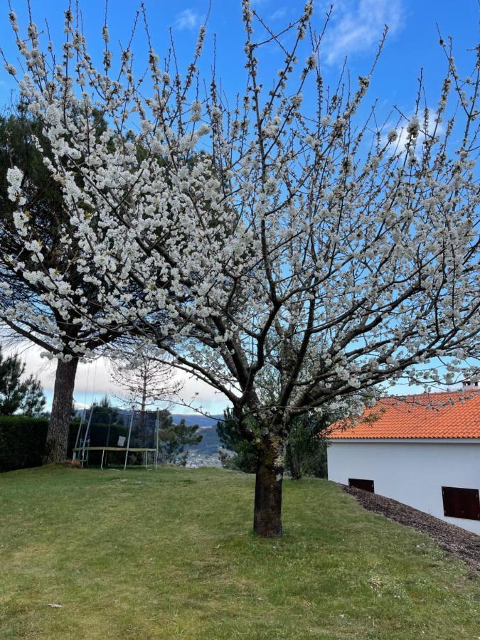 Вилла Casa Catita - Douro Байан Экстерьер фото